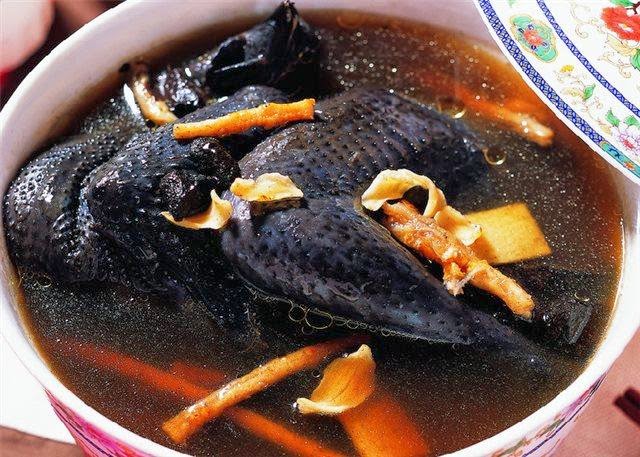 gà ác tần thuốc bắc