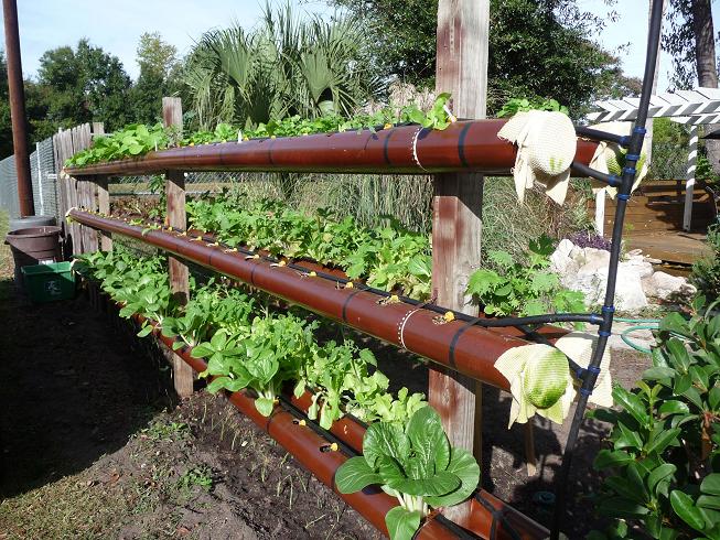 jardim vertical tubo pvc:4″ PVC Pipe Hydroponic Garden jardim vertical tubo pvc:4″ PVC Pipe Hydroponic Garden