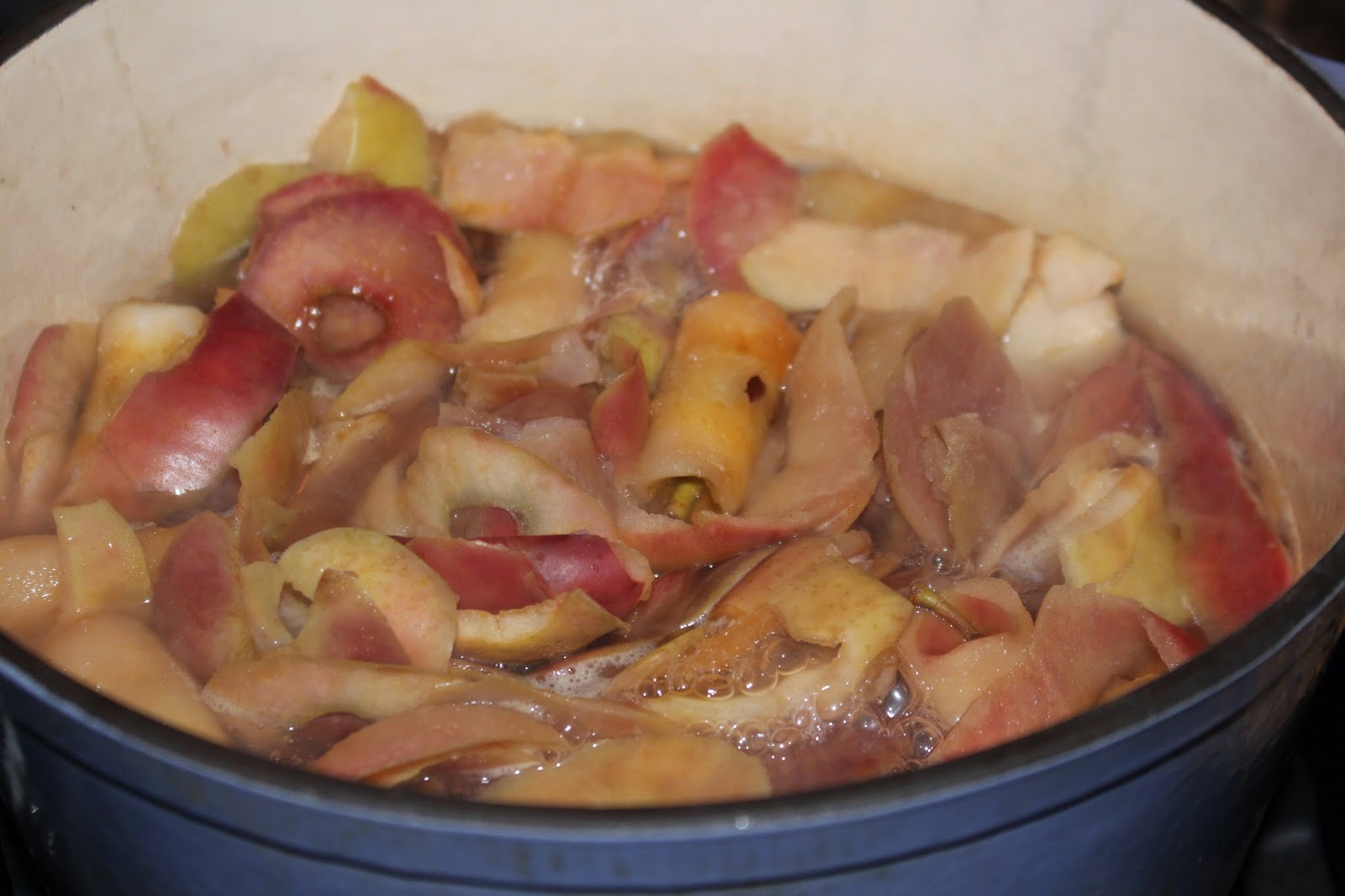 Winged Musings Apple Peel & Core Jelly Jars