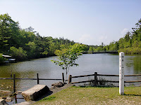 標高240m 標高240m