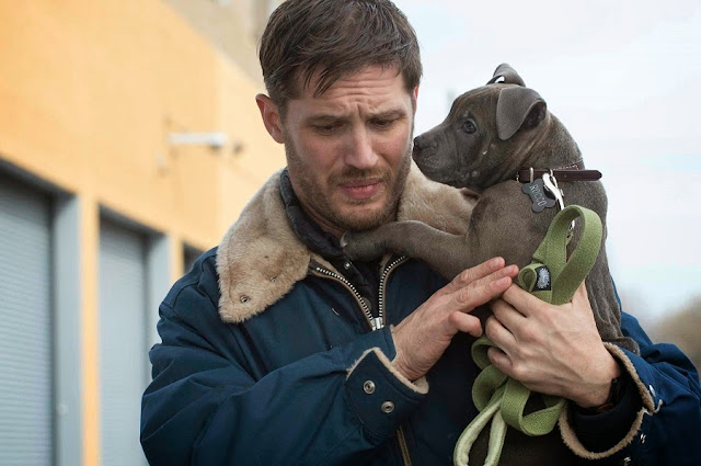 Tom Hardy as Bob and the pill bull puppy as Rocco in THE DROP. The Drop Tom Hardy Rocco dog