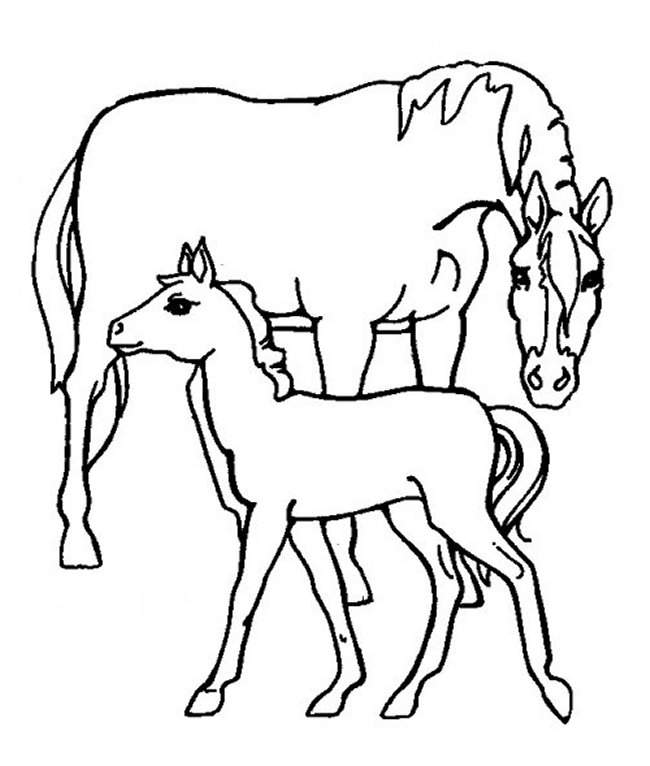Kids Page: - Horse Farm Animal Coloring Pages