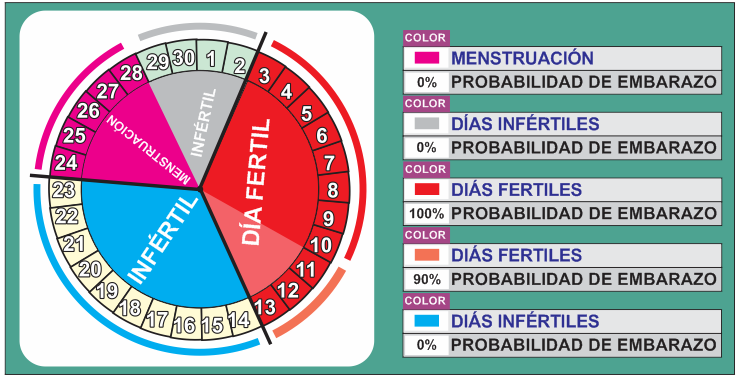 calendario dias fertiles ovulacion mujer