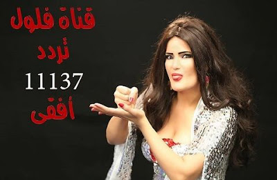 تردد قناة فلول الجديد بعد التغير 2016 سما المصري تردد قناة فلول الجديد بعد التغير