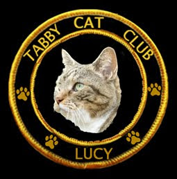 The Tabby Cat Club
