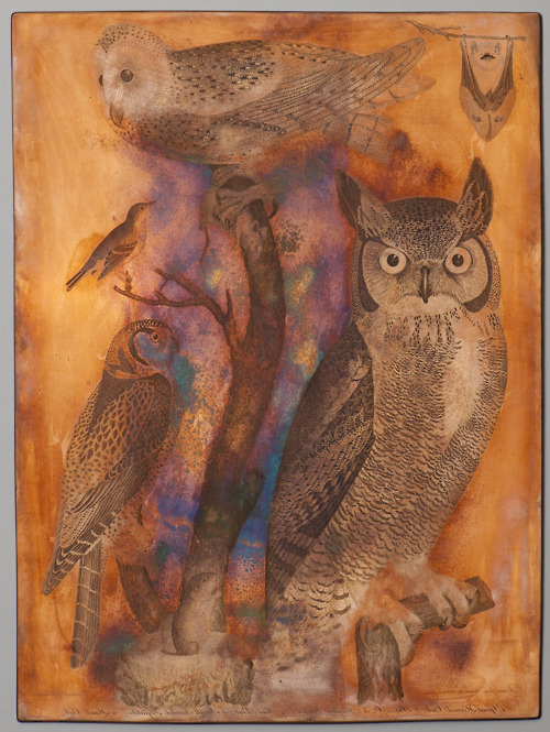 Copper Plate Engraving