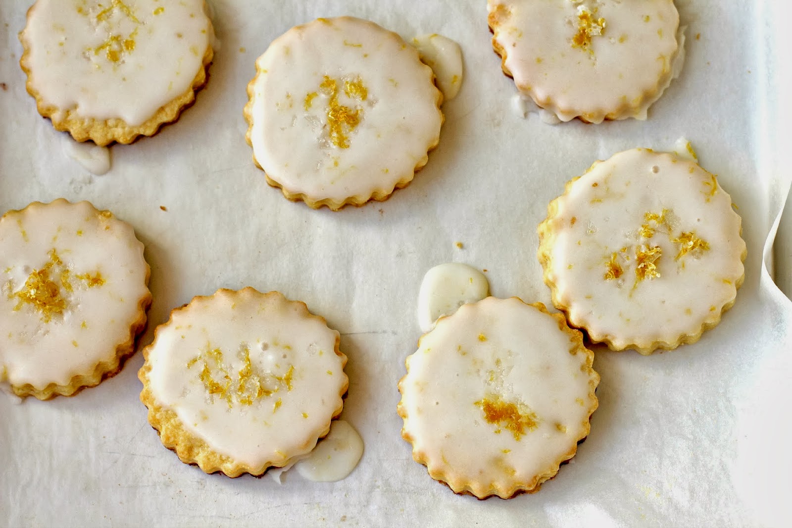 Milk and Honey Lemon Cookies with LemonSalt Sprinkle