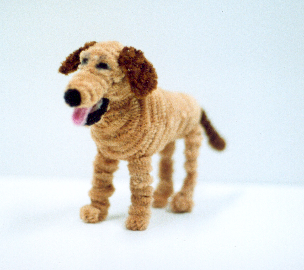 Art Pipe Cleaner Crafts