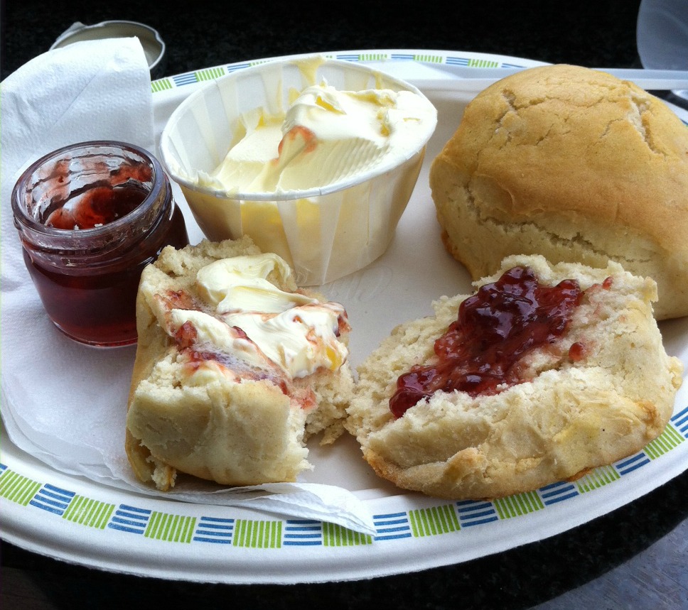 Things to do in Padstow Mum of Three World