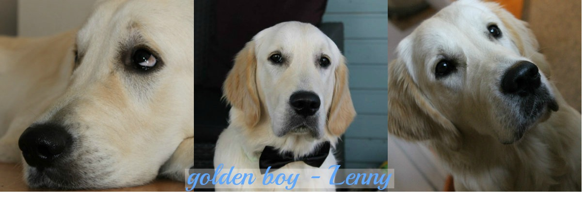 Golden Boy - Lenny