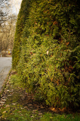Meopta Openar 40 mm @1.8 Meopta Openar 40 mm @1.8