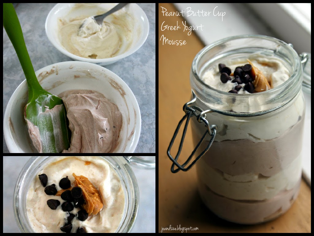 Jo and Sue 2 Ingredient Mousse (with a bazillion alternatives)