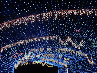 at the Austin Trail of Lights