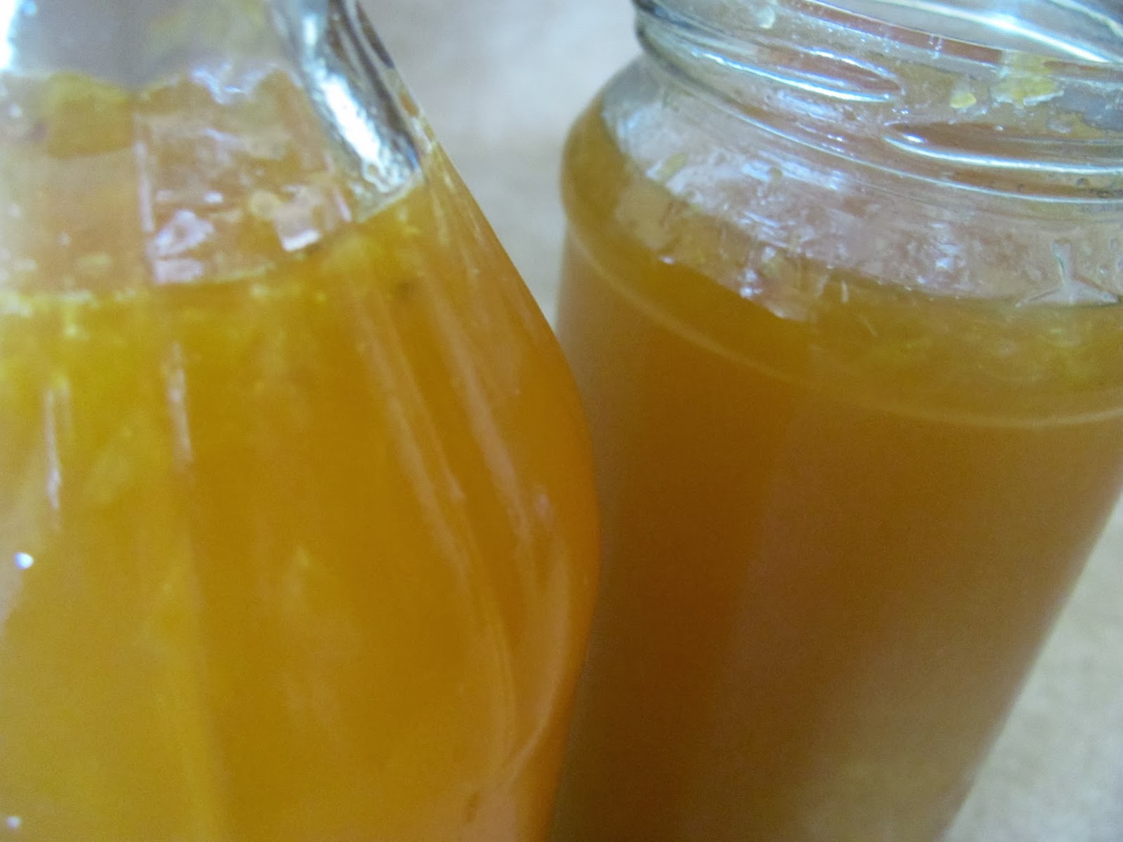 Grapefruit Cordial Recipe With Citric Acid at Cathy Freitas blog