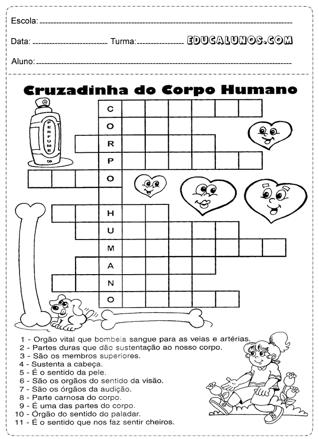 Cruzadinha do corpo humano