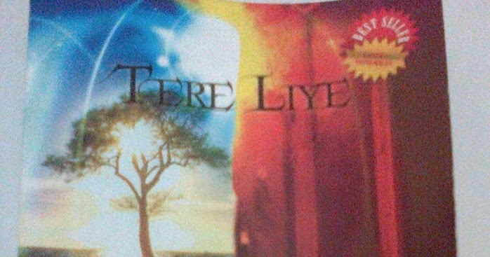 MetaL KeciL Sinopsis Novel Bidadari Bidadari Surga