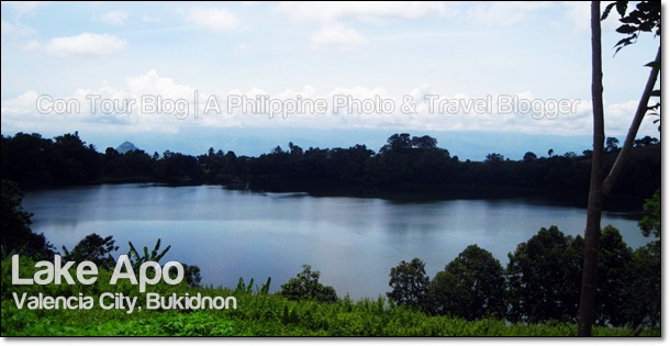 Lake Apo