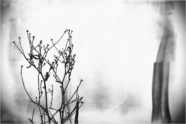 Emerging Photographers, Best Photo of the Day in Emphoka by Sabekr, https://flic.kr/p/rWV6et Emerging Photographers, Best Photo of the Day in Emphoka by Sabekr, https://flic.kr/p/rWV6et