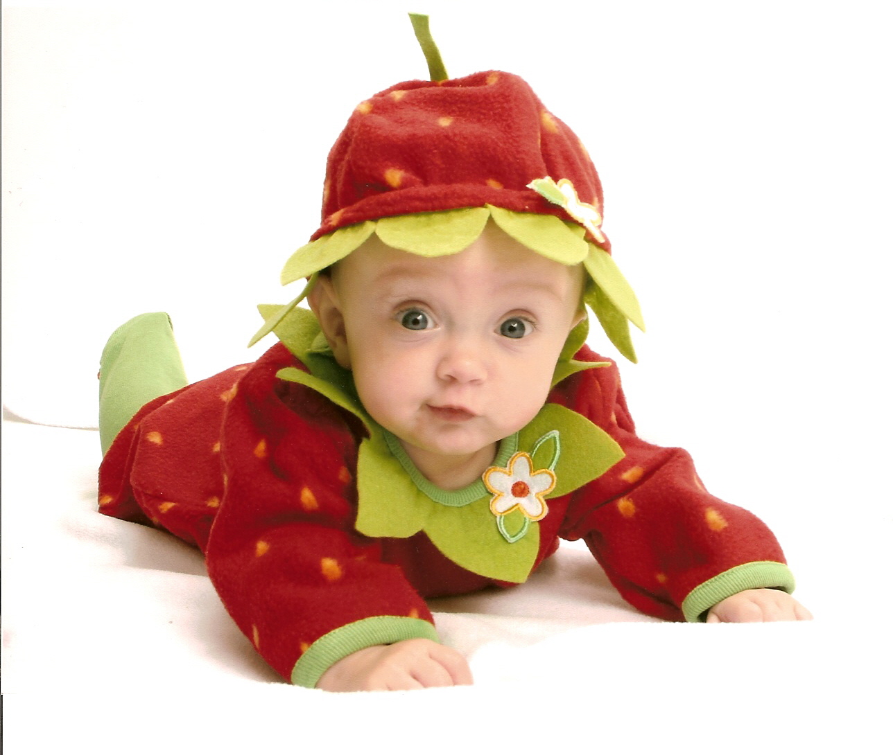 THE STRAWBERRY FESTIVAL IS COMING Macaroni Kid Camarillo Ventura