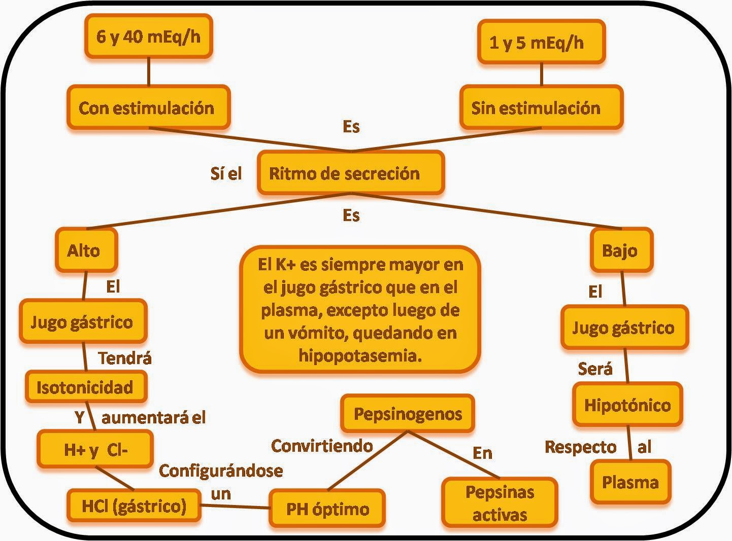 Cienacias Naturales de Hno. Vichozo: Secreción Normal de Cienacias Naturales de Hno. Vichozo: Secreción Normal de