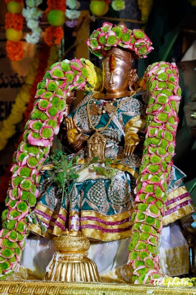 TTD Sri Padmavathi Ammavari Brahmotsavams Photos 2014, Tiruchanur