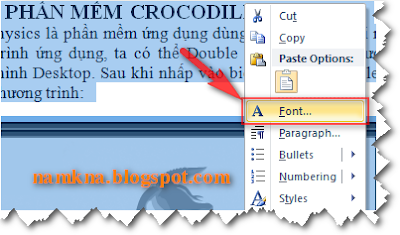 Chống copy, chống print, chống view trong Word 2007 - by: http://namkna.blogspot.com/