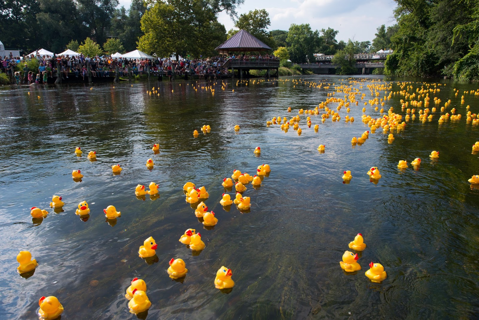 Courtney Sacco Photography Duck Race