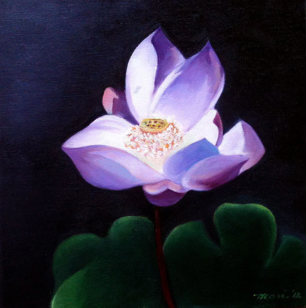 Blooming Lotus