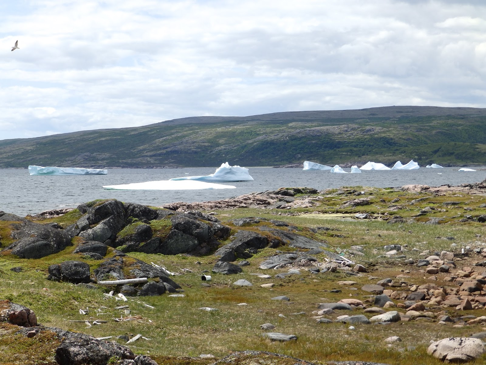 Northern Exposure 2013 Views From Stage Island, Labrador