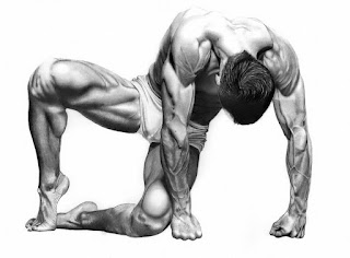 Cuerpos Rostros Desnudos Cuerpos Rostros Desnudos-lapiz