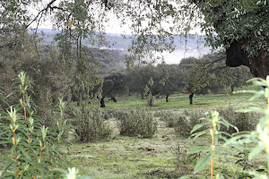 VISITAS GUIADAS-NATURALEZA