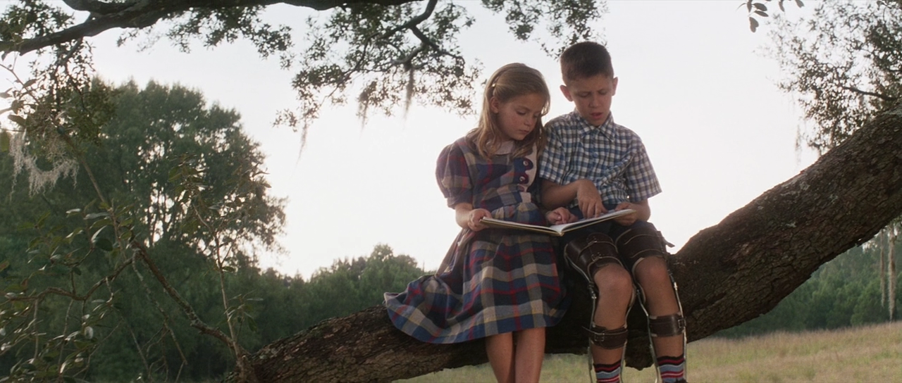 theory based character description of jenny in forrest gump Candide is less a realistic character than a conduit for the attitudes and events that surround him his opinions and actions are determined almost entirely by the. theory based character description of jenny in forrest gump Candide is less a realistic character than a conduit for the attitudes and events that surround him his opinions and actions are determined almost entirely by the.