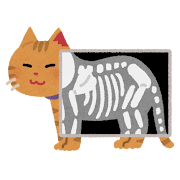 猫のレントゲン検査のイラスト