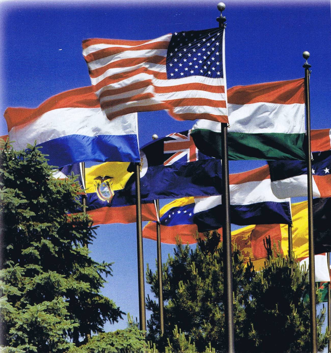Classic Flag & Banner: Flag Poles