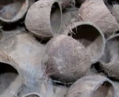 bisnis batok kelapa