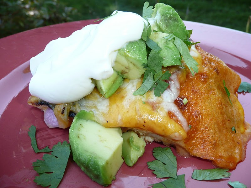 Everyday Dutch Oven Chicken Quesadilla Pie