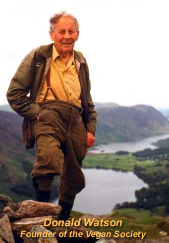 Culture Artist Organization: Vegetarians and Vegans