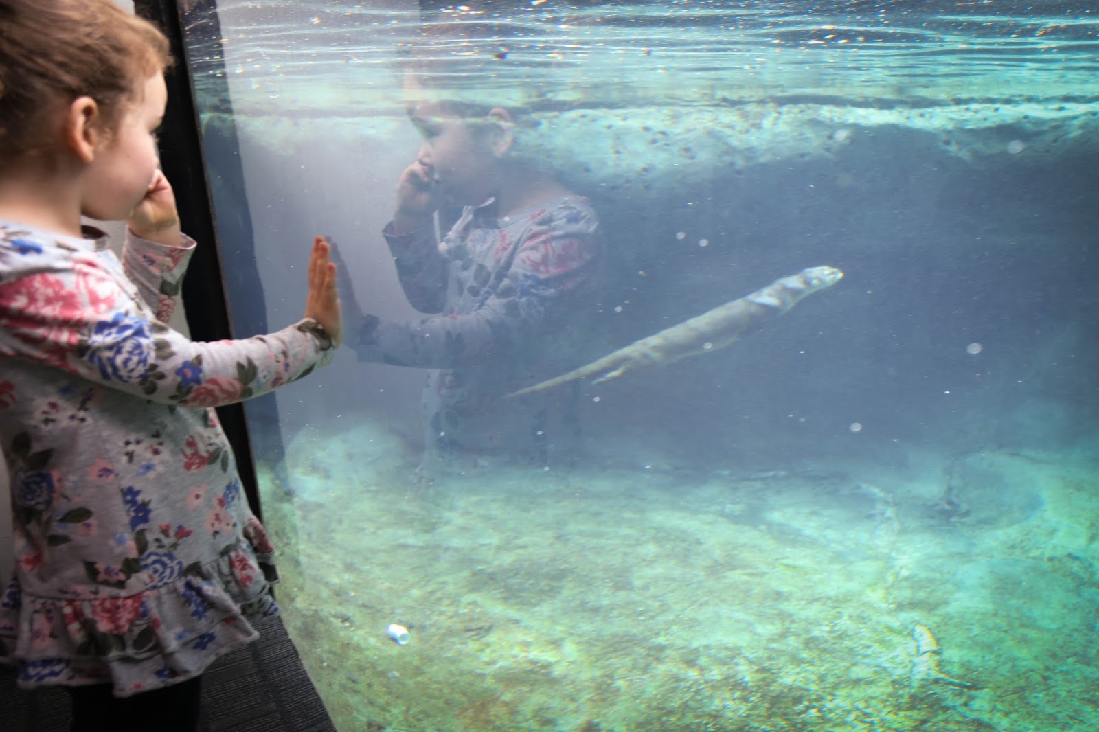 Marsh Pavilion at the Virginia Aquarium Mermaid City Kids Norfolk, VA