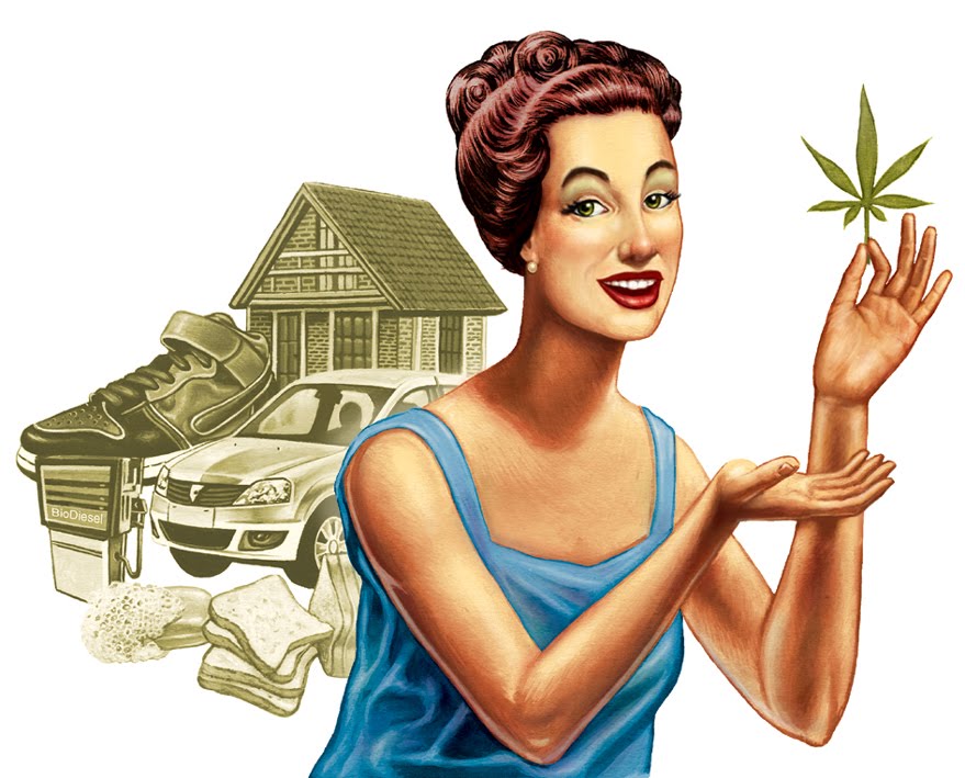 Revista Thc