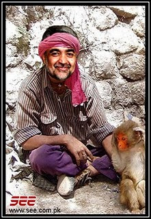 Pakistani cricket team funny pictures