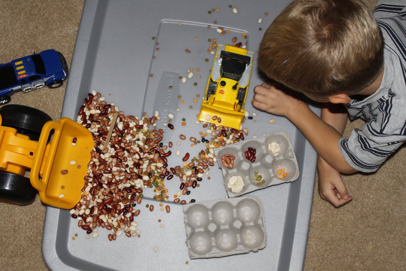 CREATE STUDIO Beans, Beans Good For Your Heart