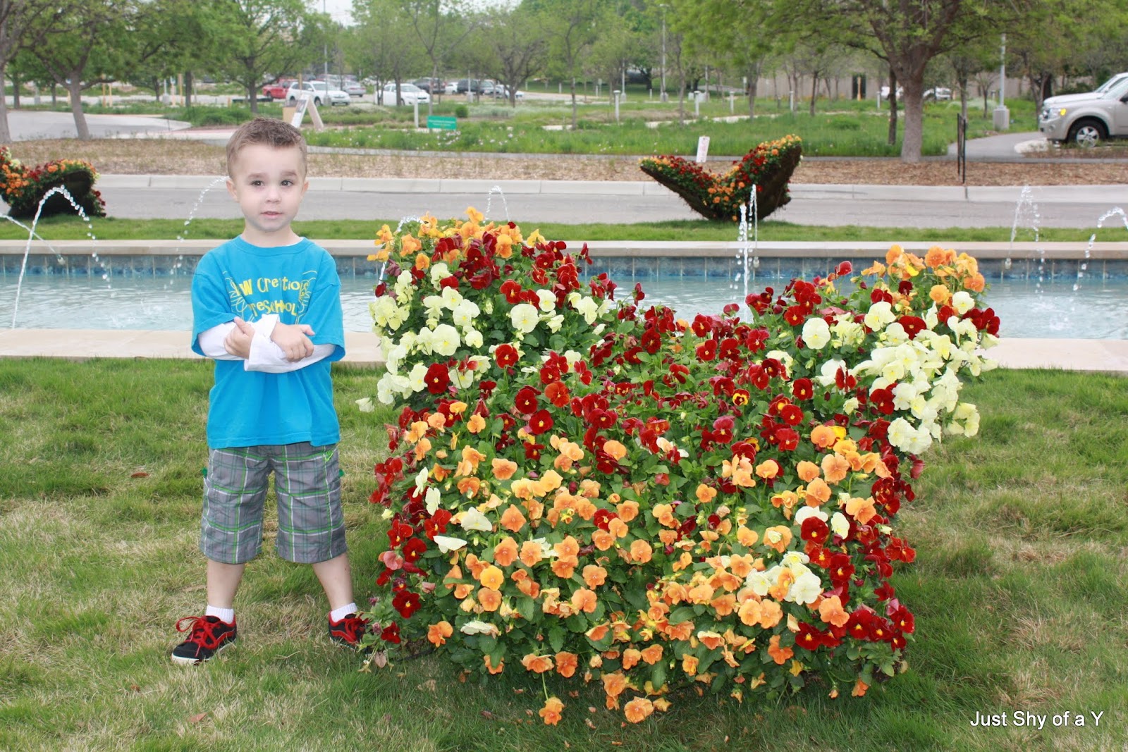 Just Shy of a Y Fort Worth Butterfly Garden