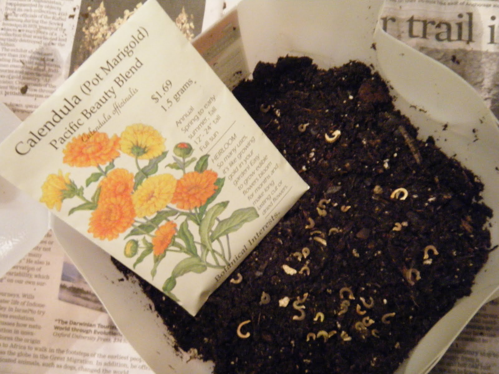 sowing a seed