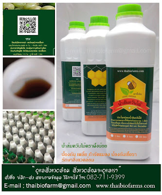 ป้องกันแมลงด้วยน้ำส้มควันไม้,น้ำส้มควันไม้ เพลี้ยแป้ง,เชื้อรา,กำจัดราพืช