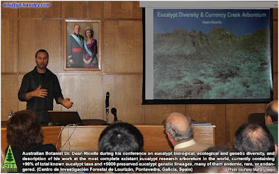 Australian Eucalyptus botanist Dr Dean Nicolle in his conference on eucalypt biodiversity and the Currency Creek Arboretum, Lourizan Forestry Research Centre, Pontevedra, Spain / El botanico de eucaliptos Dr Dean Nicolle imparte una conferencia sobre la biodiversidad de los eucaliptos y sobre el Arboreto de Currency Creek, el repositorio genetico mas completo de eucaliptos del mundo, en el Centro de Investigaciones Forestales de Lourizan, Pontevedra, España / Gustavo Iglesias Trabado / GIT Forestry Consulting, Consultoría y Servicios de Ingeniería Agroforestal, Galicia, España, Spain / Eucalyptologics, information resources on Eucalyptus cultivation around the world / Eucalyptologics, recursos de informacion sobre el cultivo del eucalipto en el mundo