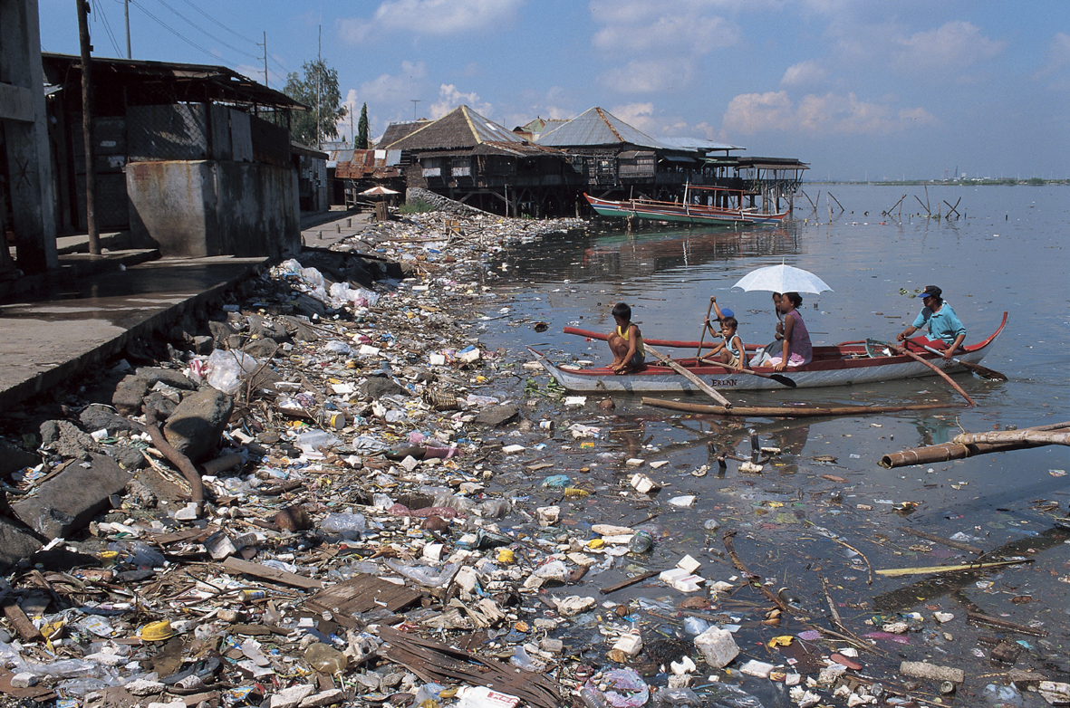 What does environmental science deals with