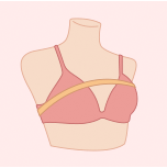 Cách đo cỡ áo ngực - Cách chọn size áo ngực phù hợp