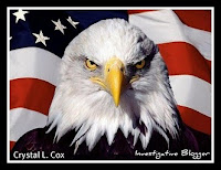 Crystal L. Cox Investigative Blogger