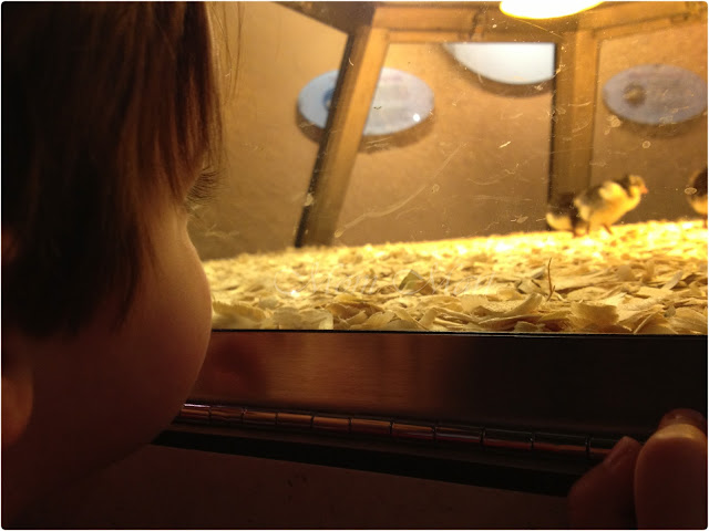 Checking out the chicks at MSI Checking out the chicks at MSI