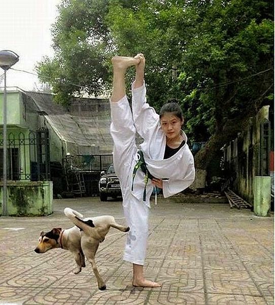 daily_picdump_1660_640_01.jpg